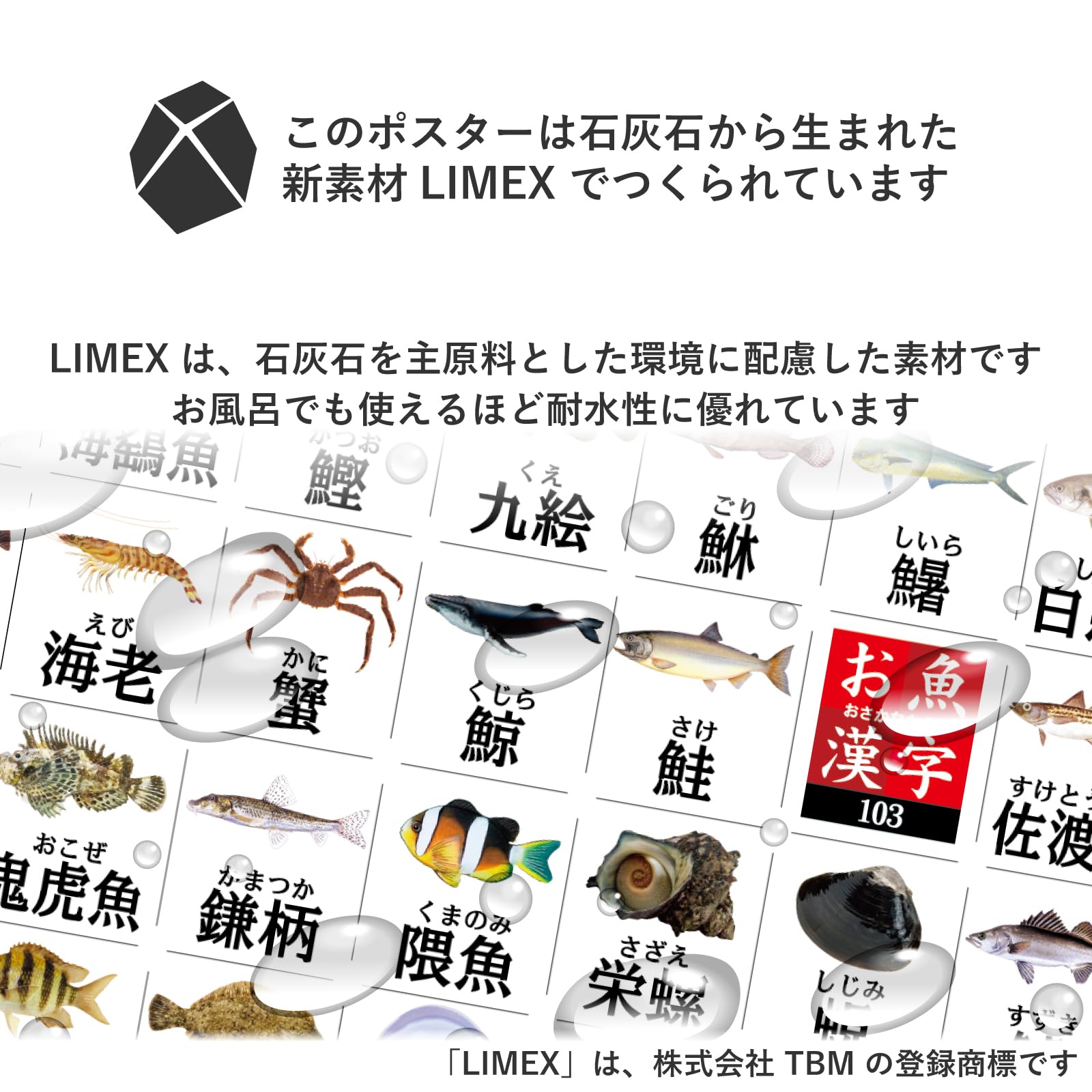 Amazon.co.jp: ザ・アクセス The ACCESS ポスター お魚漢字 A1 耐水性